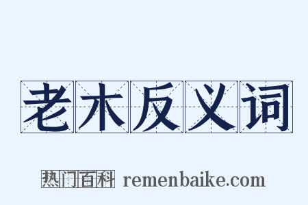 老木反义词是什么意思的图片